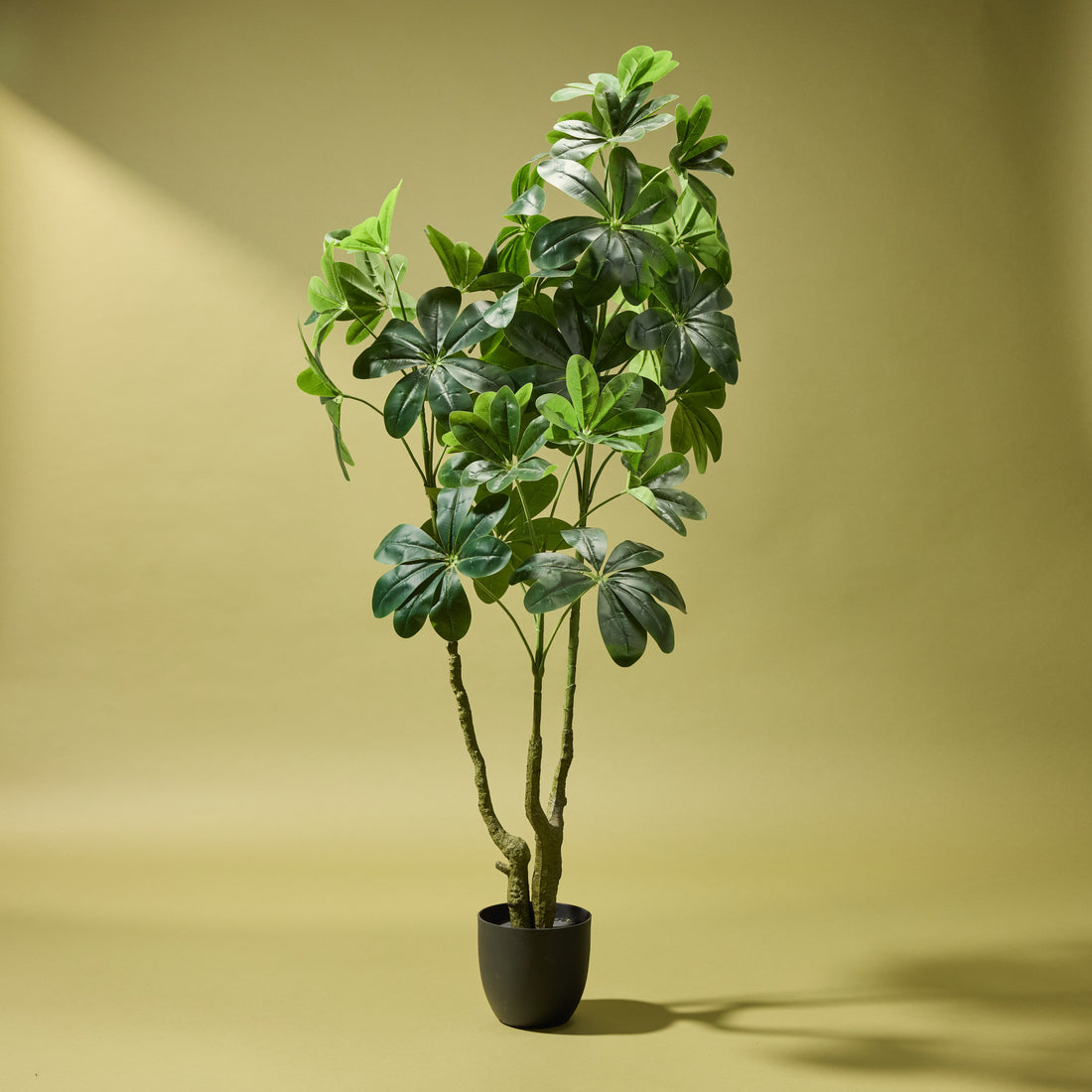 Faux Umbrella Tree - Garden Pot | 150cm