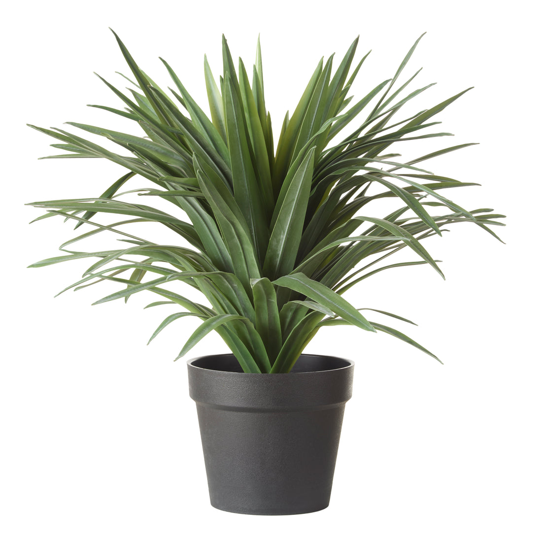 Rogue Sisal Plant UV Green