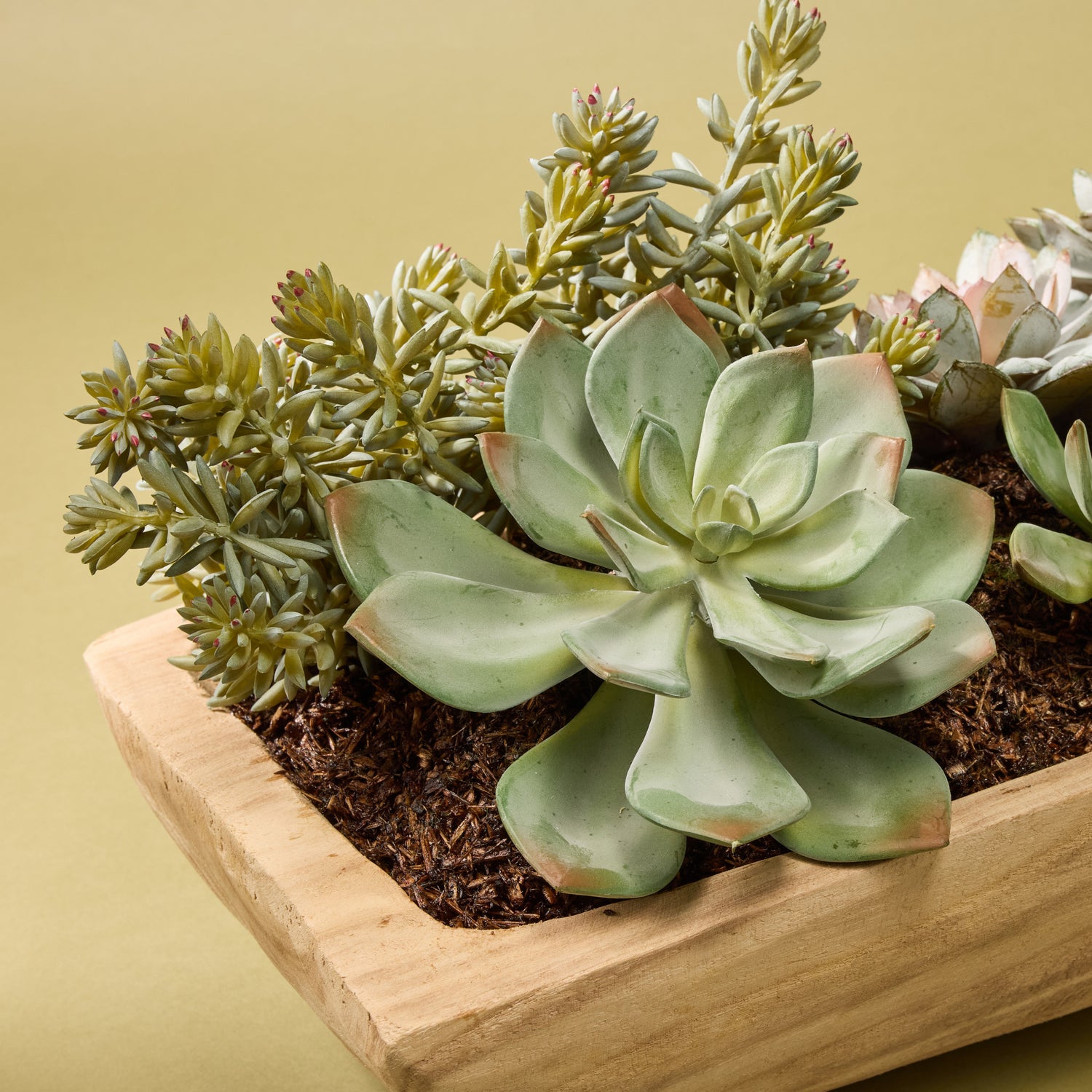 succulent tray centerpiece Artificial Echeveria Succulent Garden Arrangement - Dansk Tray
