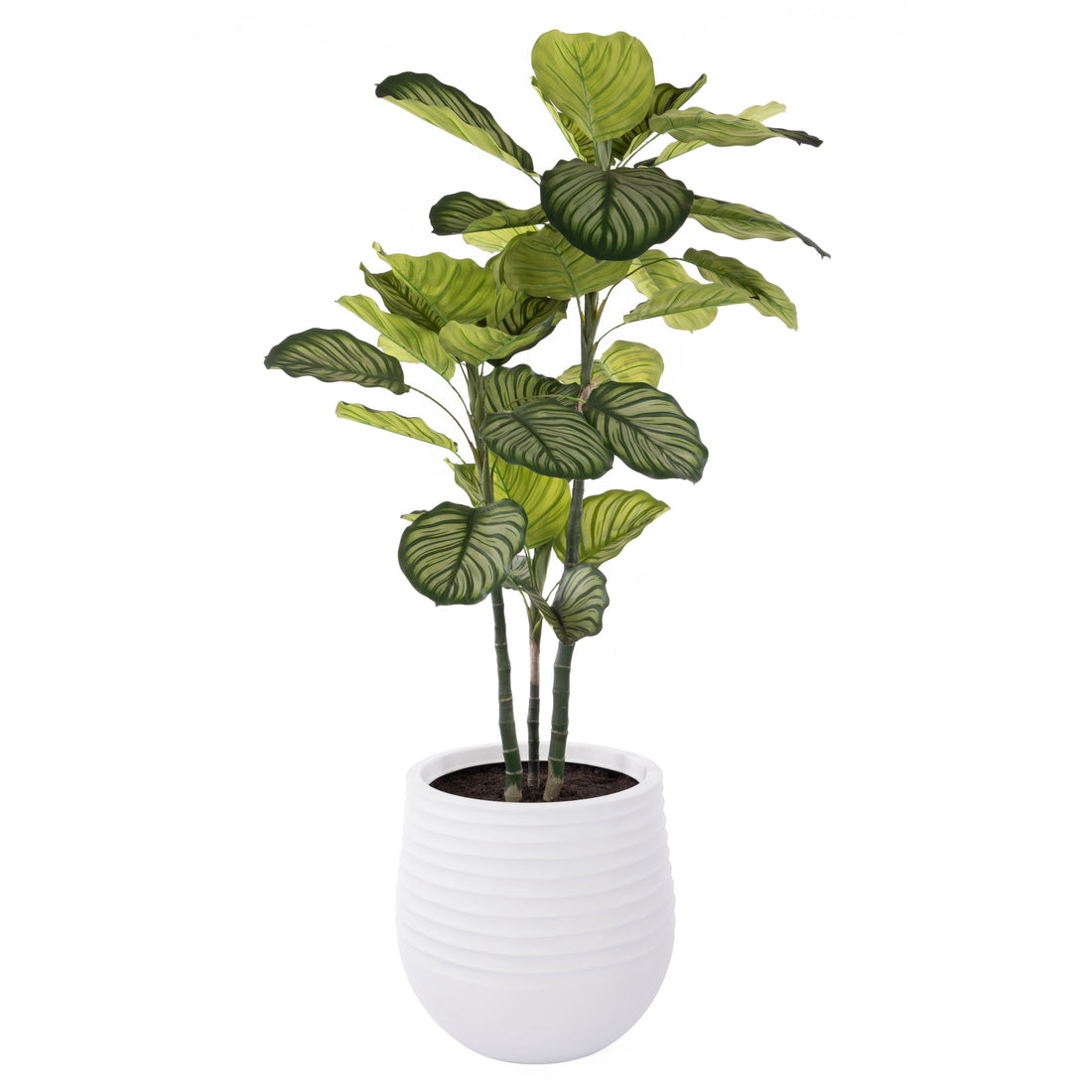 Faux Calathea Plant - Ryker Stonelite Planter | White - 177cm
