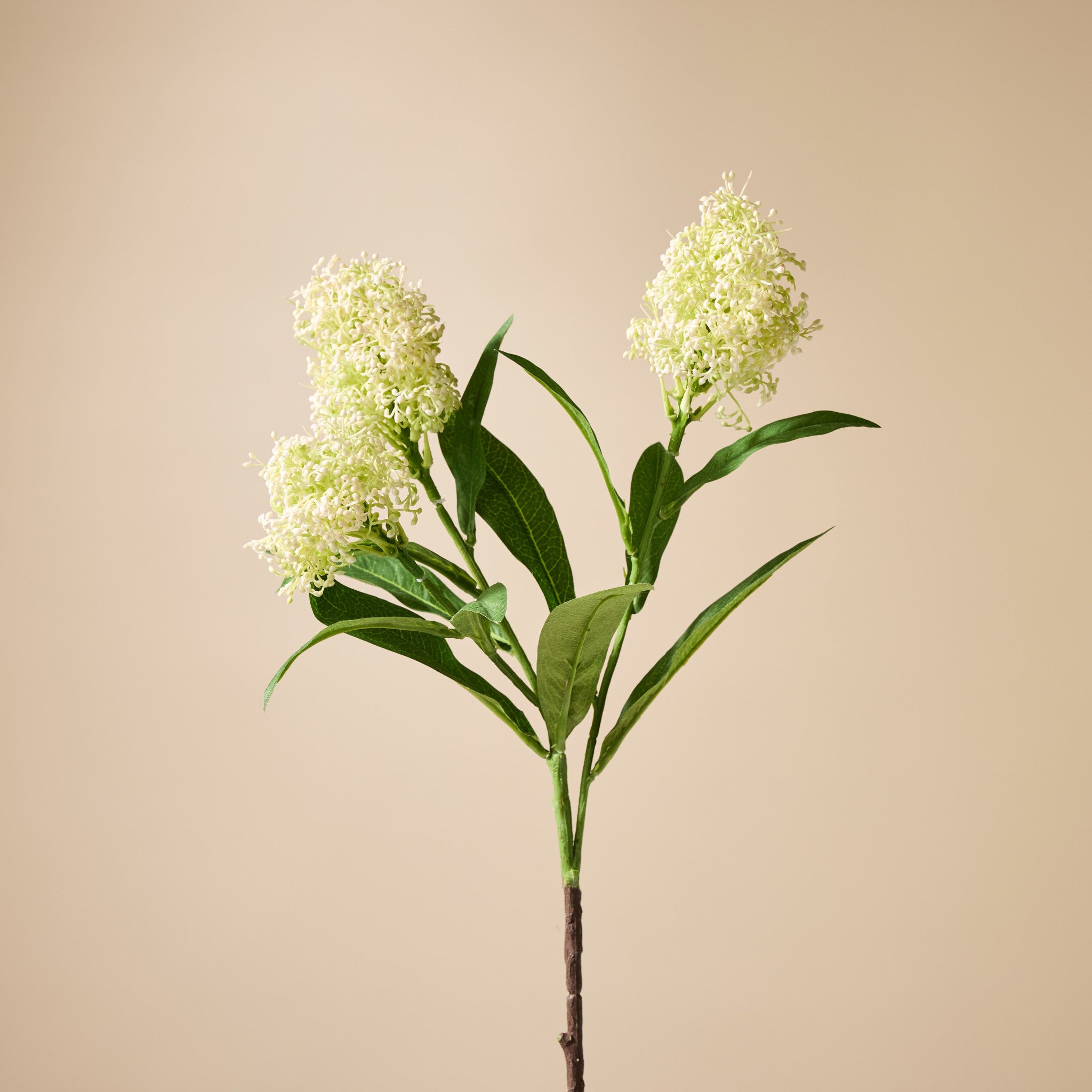 Faux Skimmia Spray| Cream - 60cm