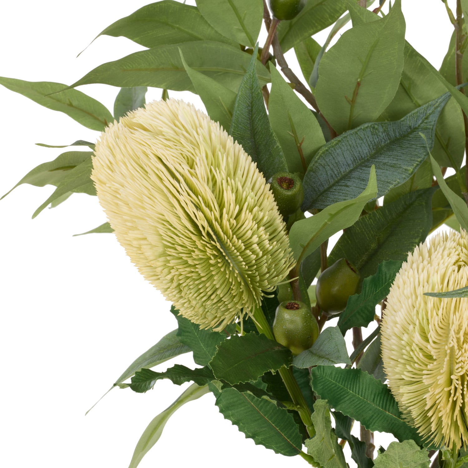 Faux Native Banksia Gum Nut Arrangement - Pauline Vase