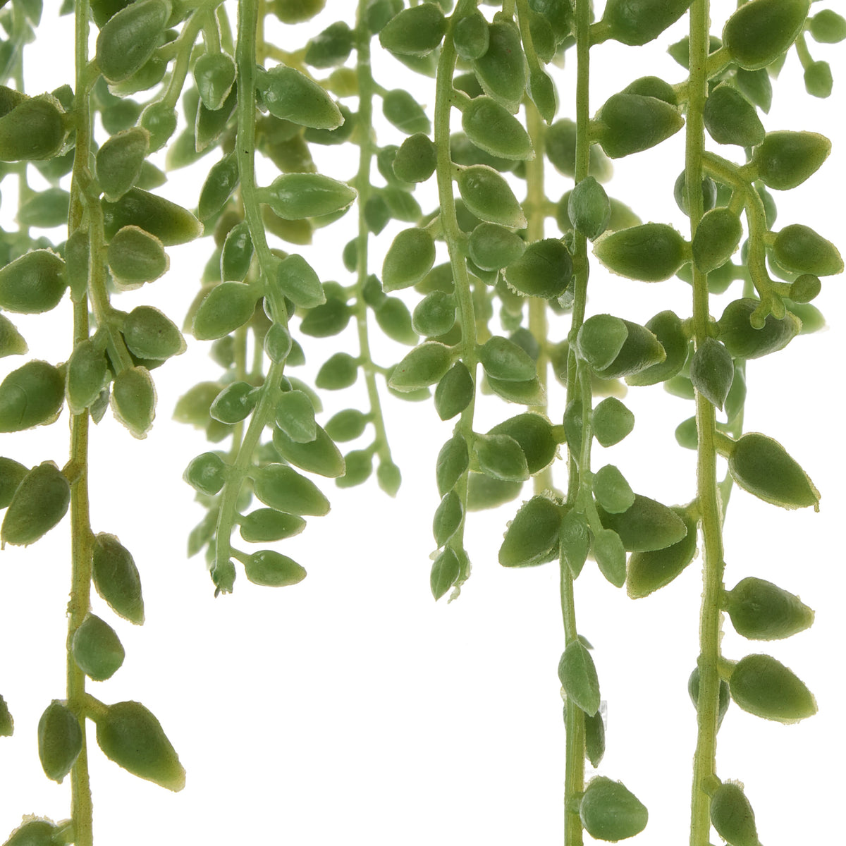 Rogue String of Teardrops - Garden Pot Green