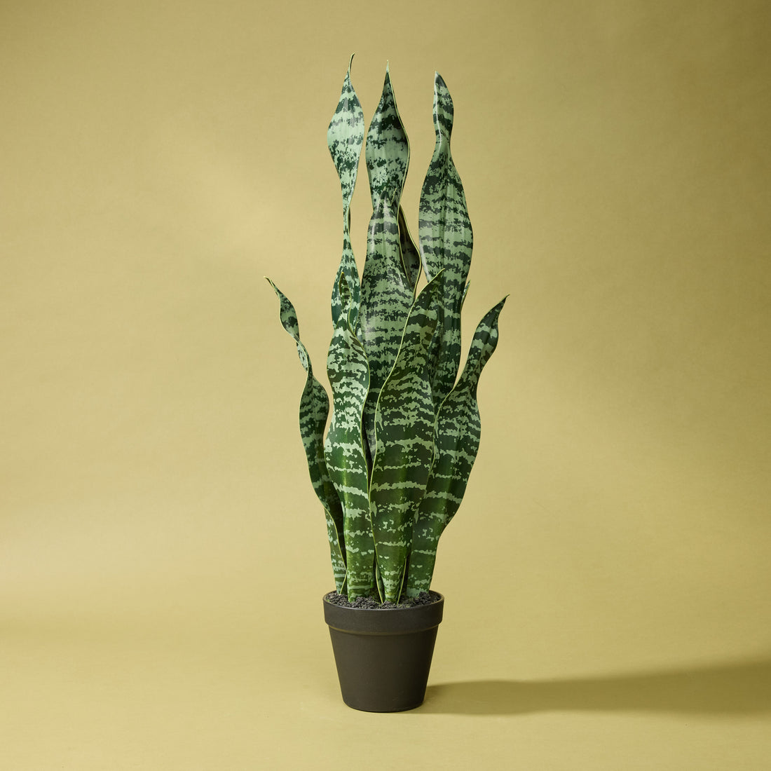 Faux Sansevieria Plant - Garden Pot | 65cm