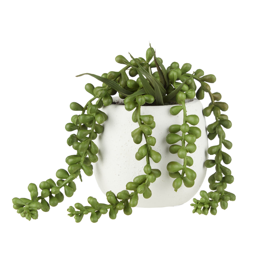 Rogue Hanging Pearls - Tub Pot Green &amp; White