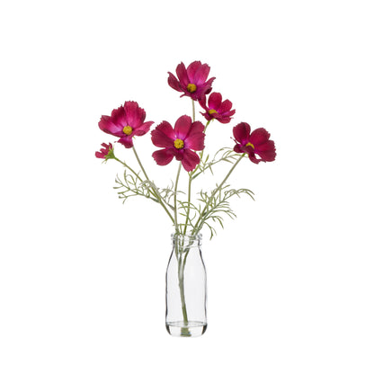 Faux Cosmos - Milk Bottle | Burgundy  -  35cm