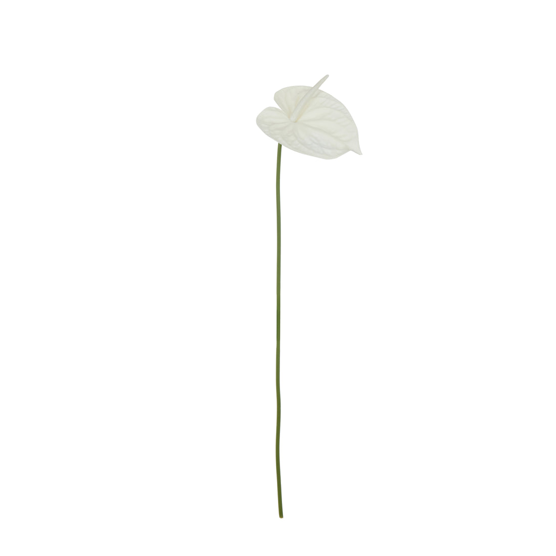 Faux Anthurium Stem | White - 69cm