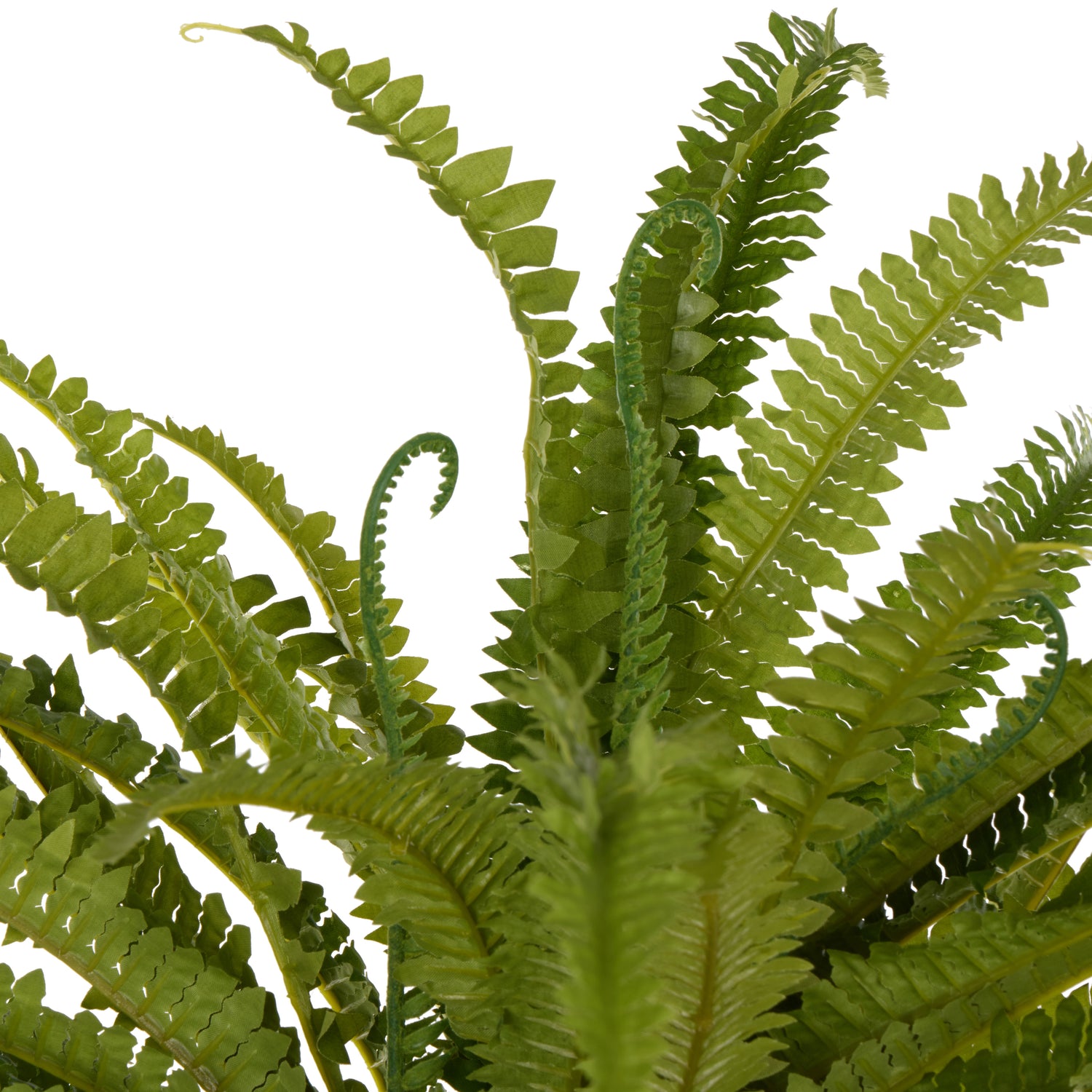 Faux Boston Wall Fern | Green - 90cm