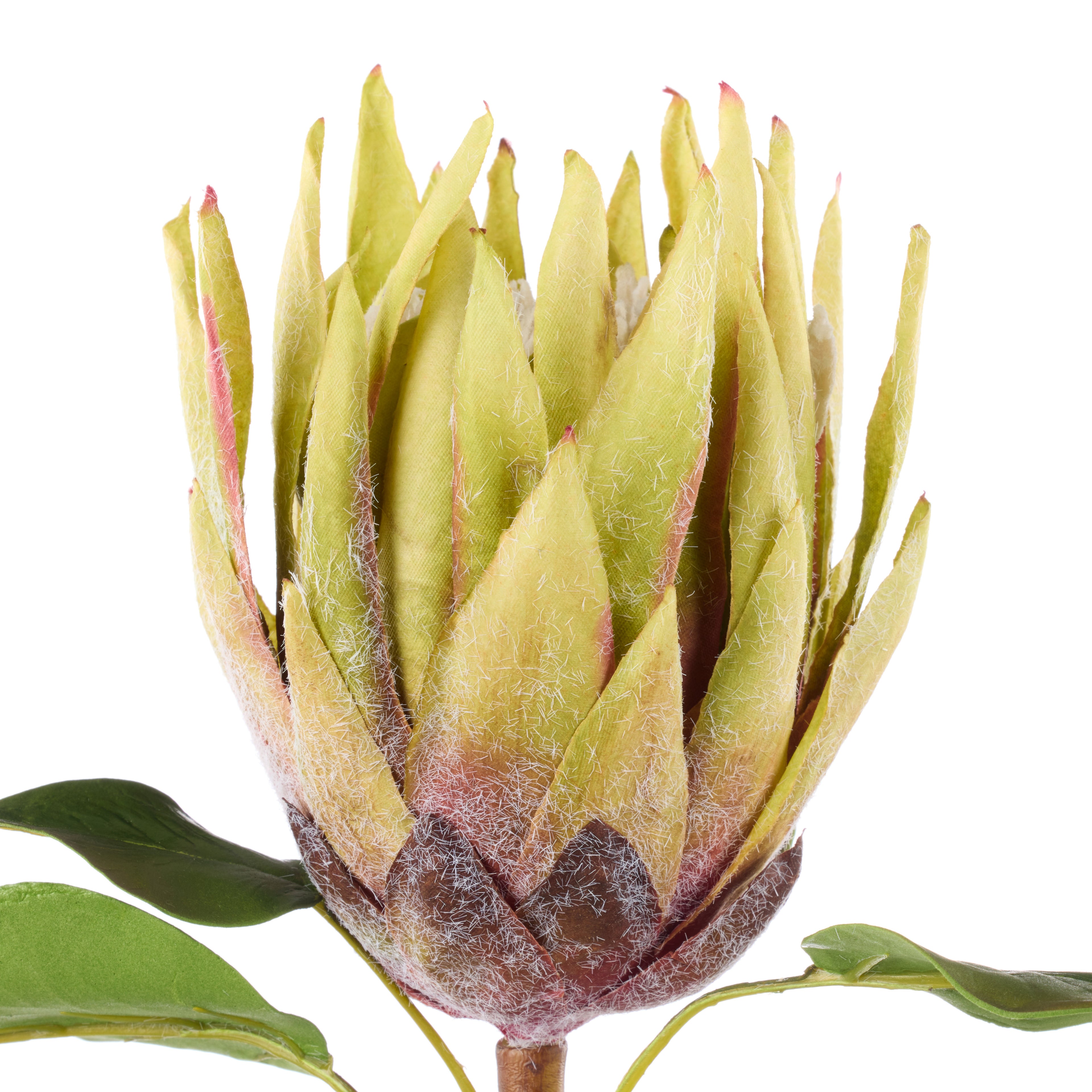 Faux King Protea Stem | Green - 60cm