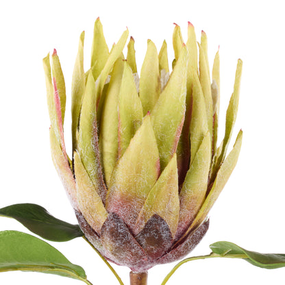 Faux King Protea Stem | Green - 60cm