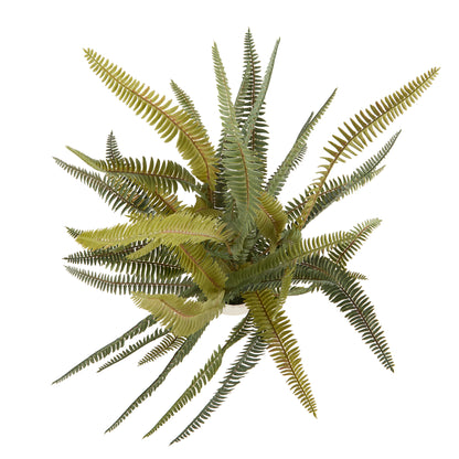 Faux Boston Fern - White Pot | 71cm