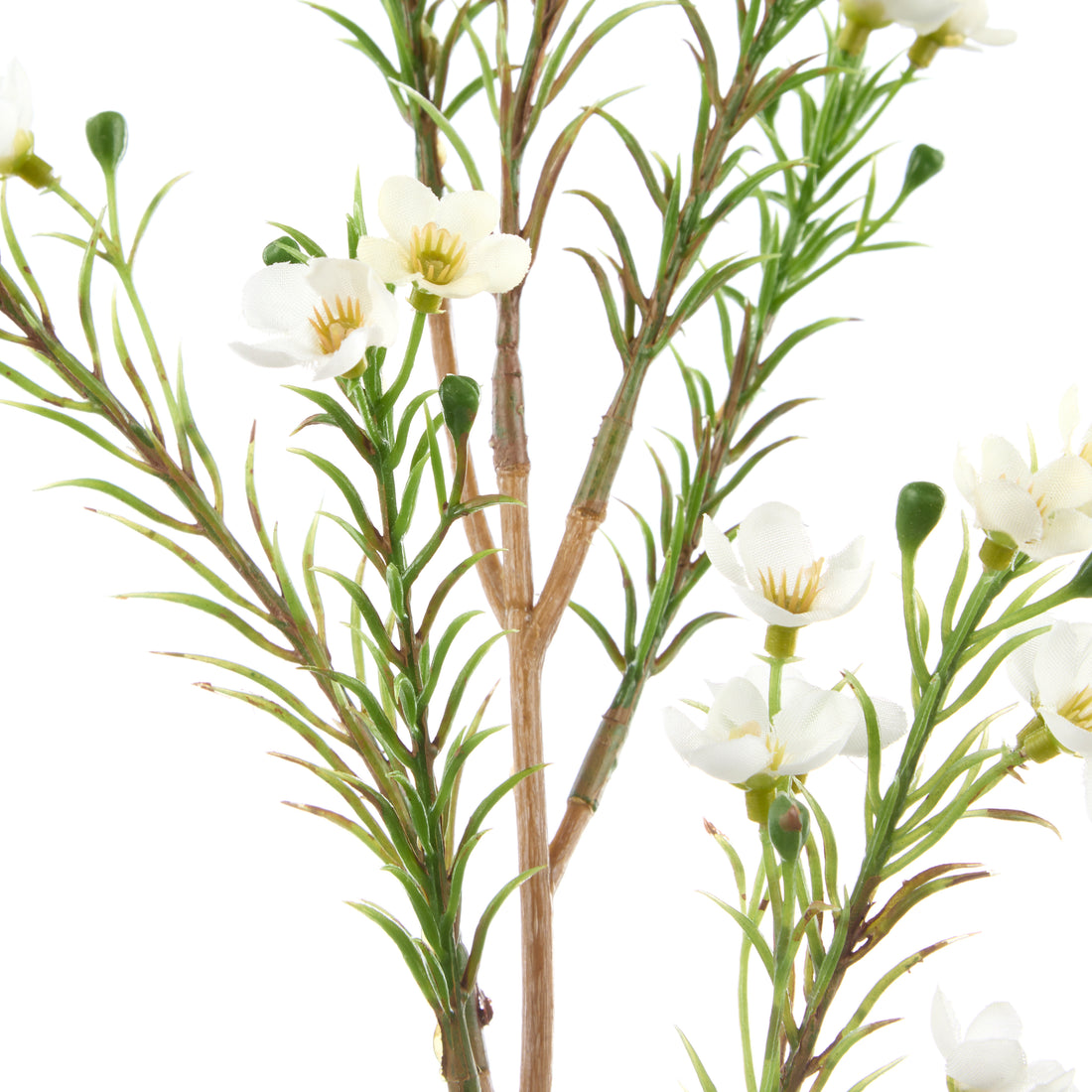 Rogue Wax Flower Spray White