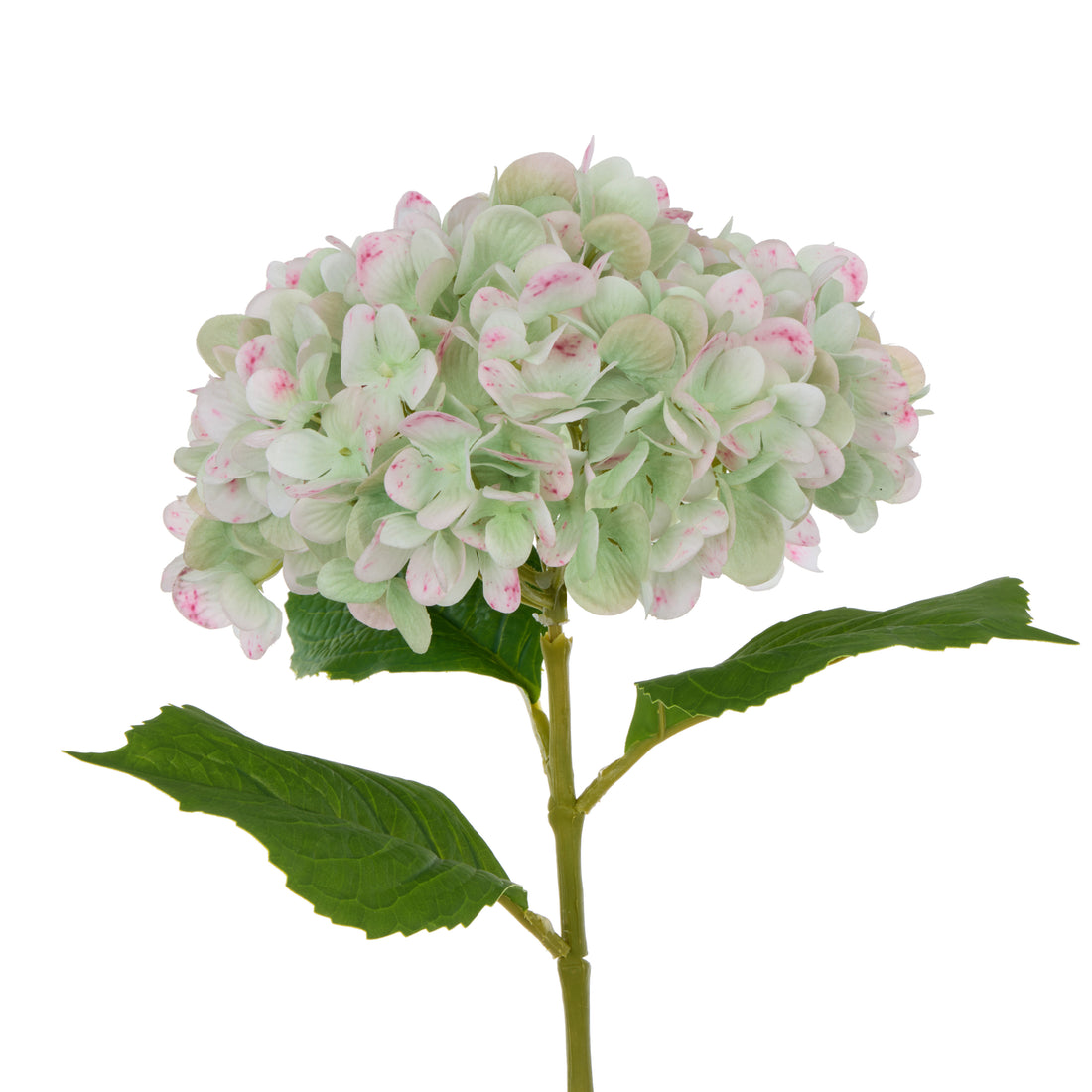 Faux Hydrangea Stem | Green - 66cm