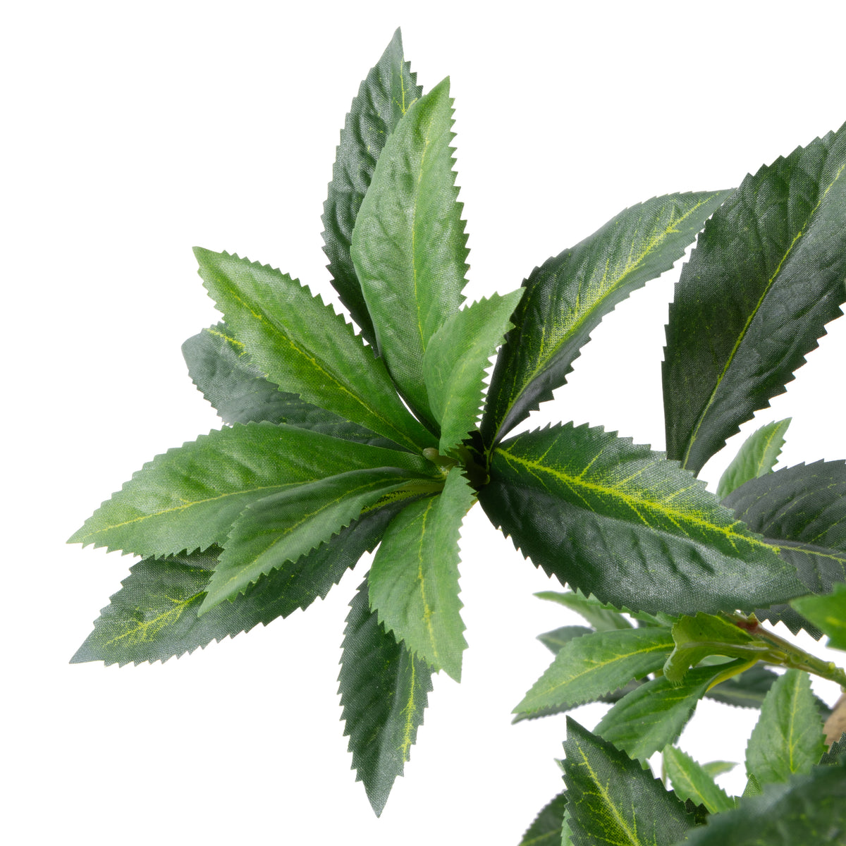 Rogue Japonica Tree UV - Garden Pot Green
