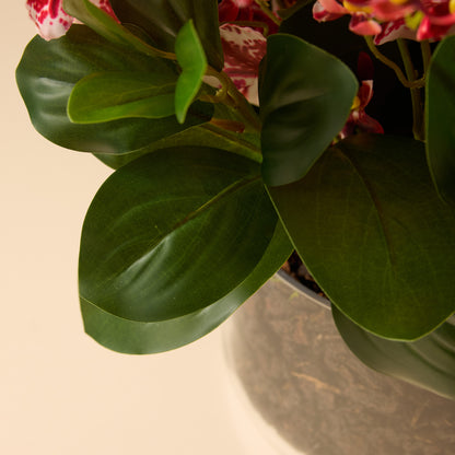 Faux Dancing Orchids - Madelyn Bowl | Burgundy - 58cm