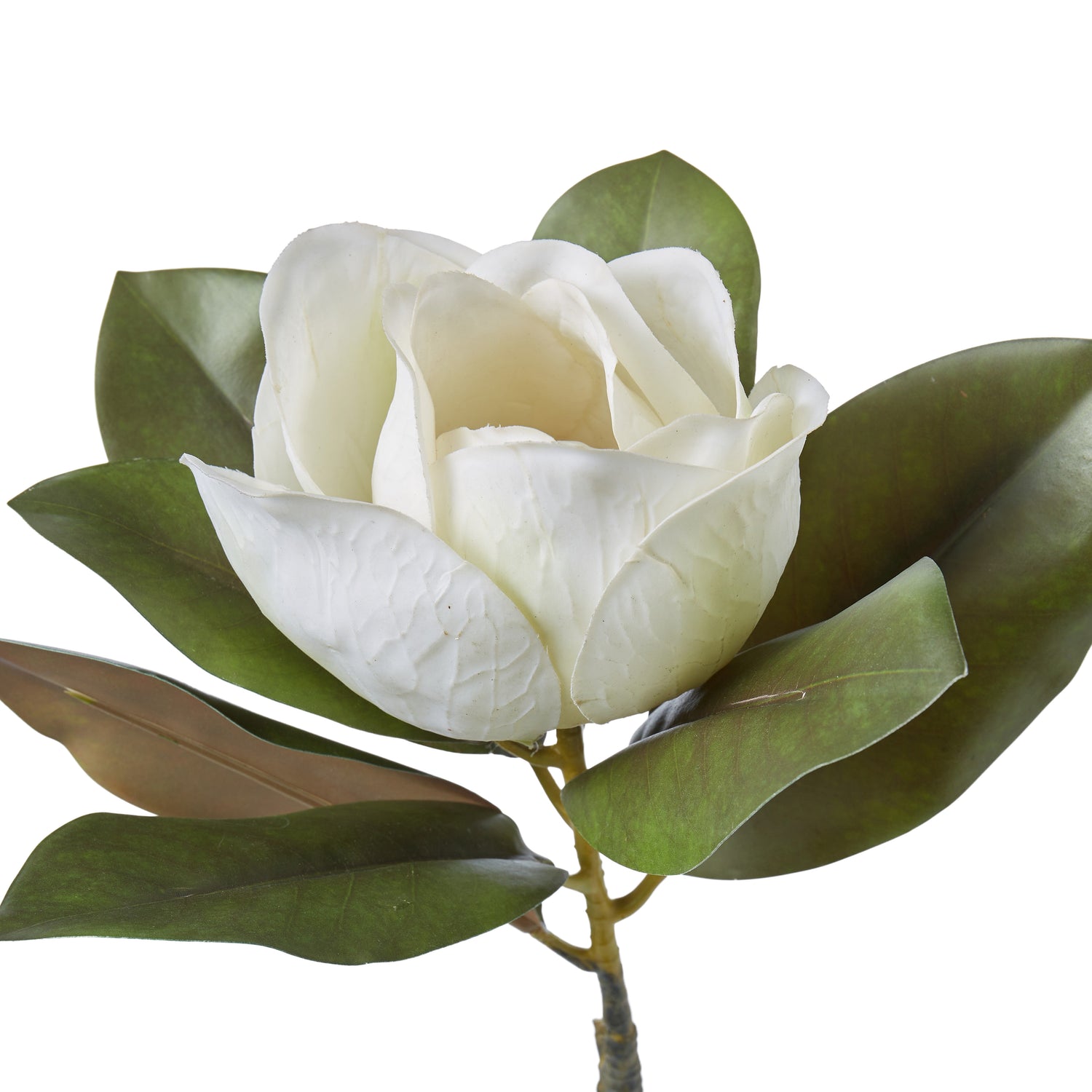 Faux Magnolia Grandiflora | White - 71cm