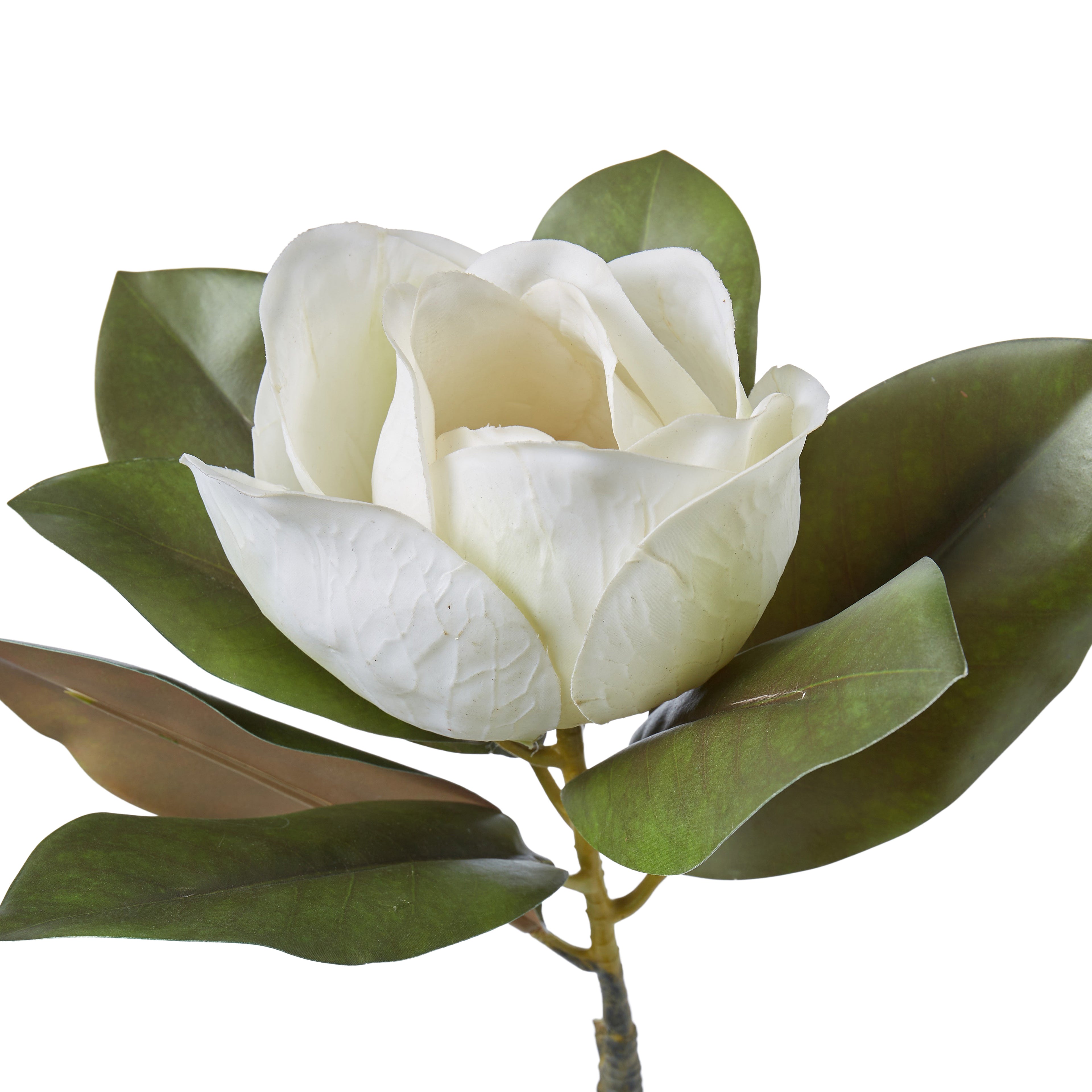 Faux Magnolia Grandiflora | White - 71cm