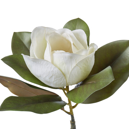 Faux Magnolia Grandiflora | White - 71cm