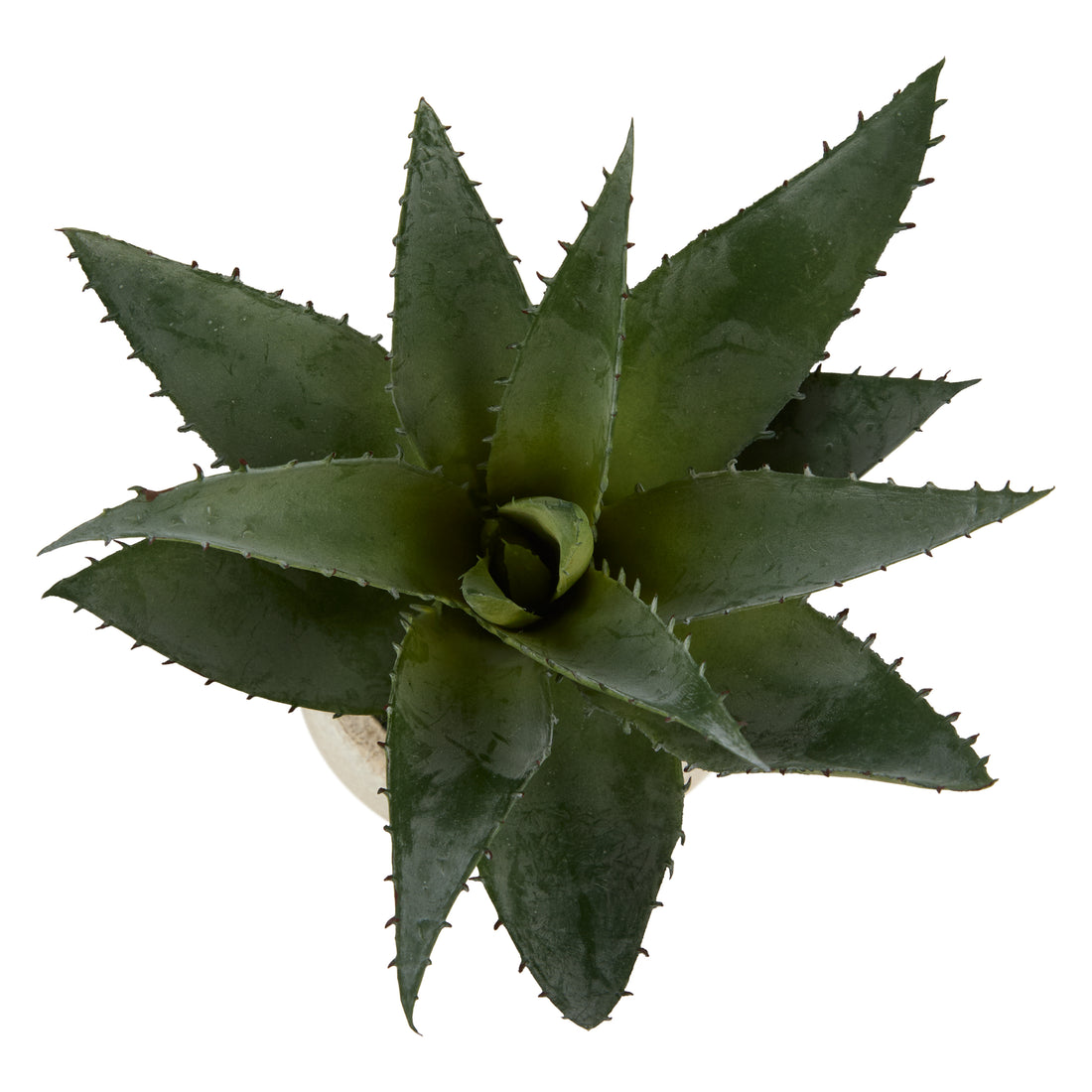 Faux Aloe Plant - Cream Pot | 23cm