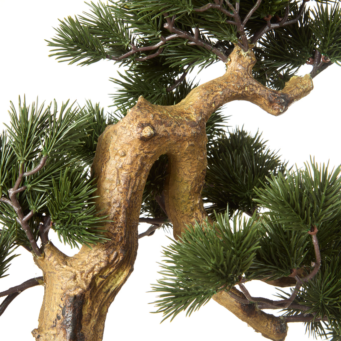 Rogue Pine Bonsai - Garden Pot Green