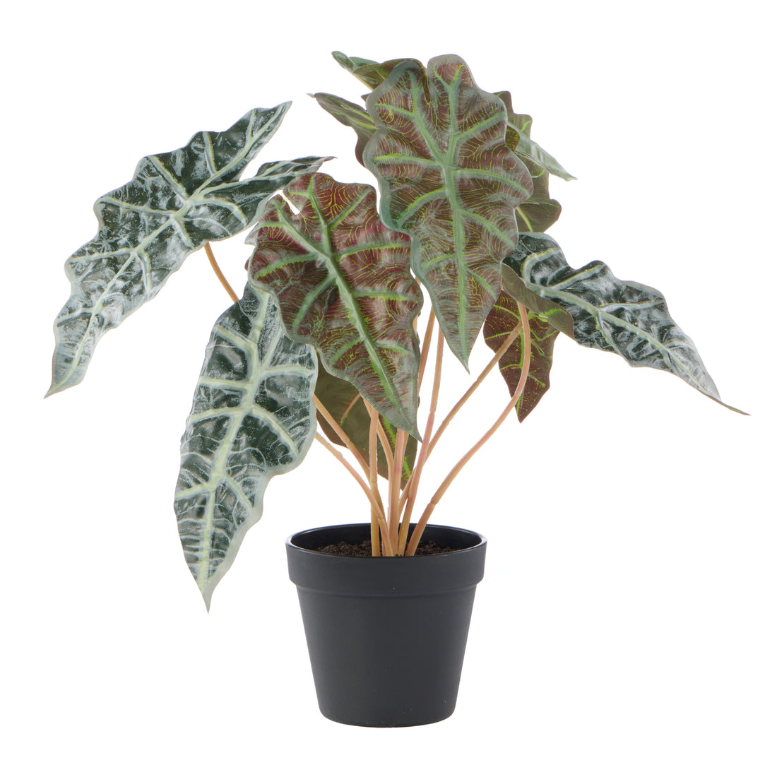 Faux Alocasia - Garden Pot | 43cm