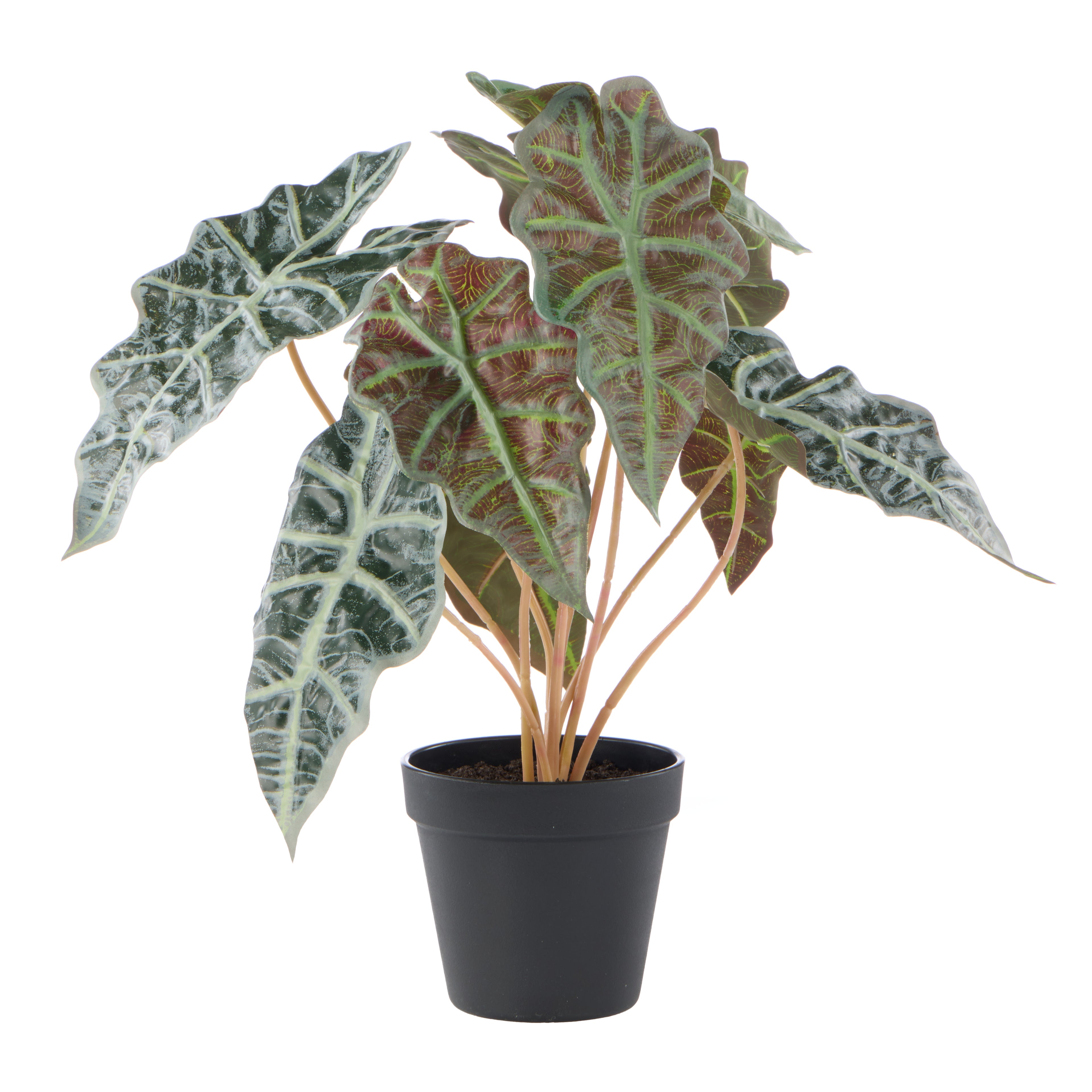 Faux Alocasia - Garden Pot | 43cm