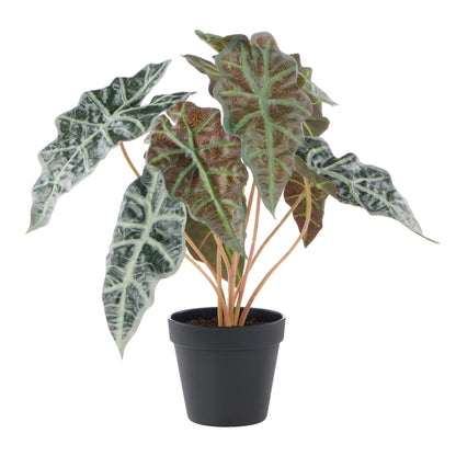 Faux Alocasia - Garden Pot | 43cm