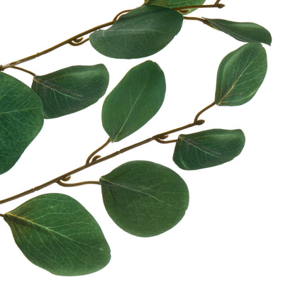 Rogue Round Eucalyptus Spray Green