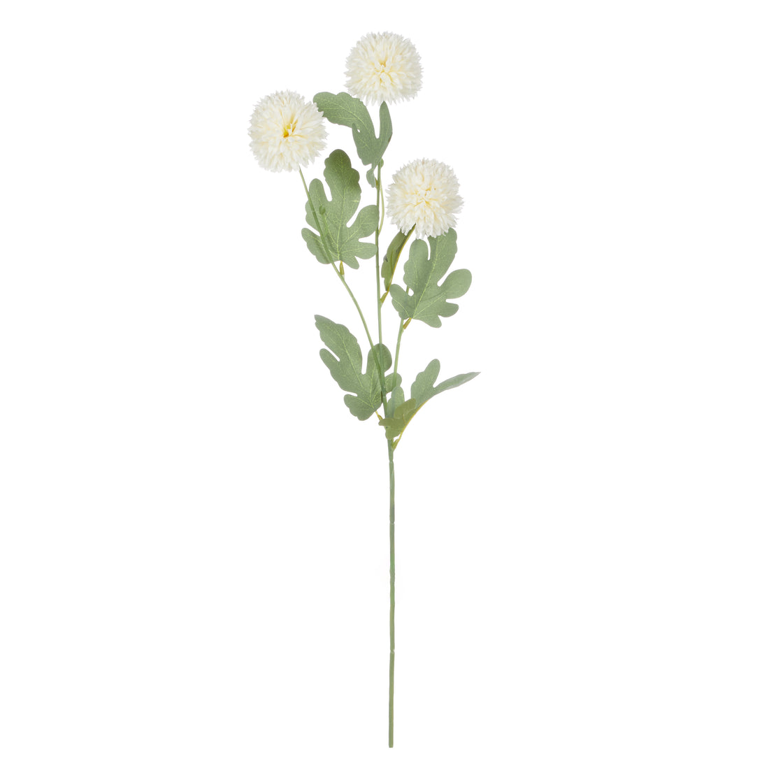 Rogue Kiku Spray Ivory