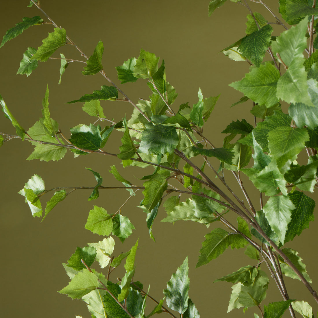 Faux Silver Birch Tree - Garden Pot  | 208cm