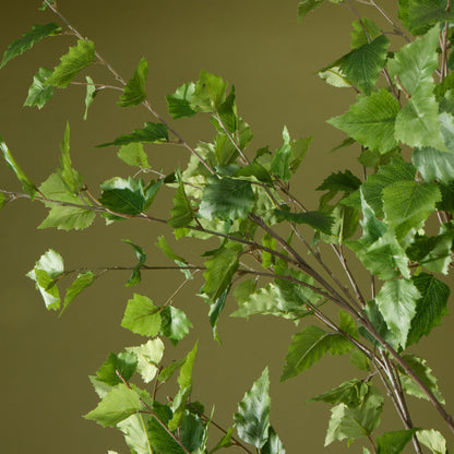 Faux Silver Birch Tree - Garden Pot  | 208cm