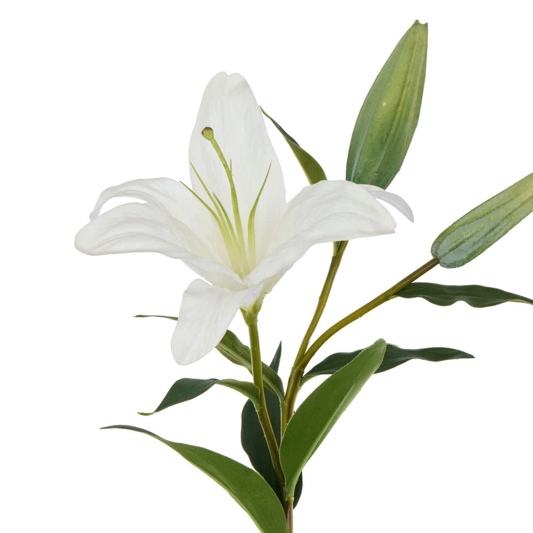 Faux Casablanca Lily | White - 80cm