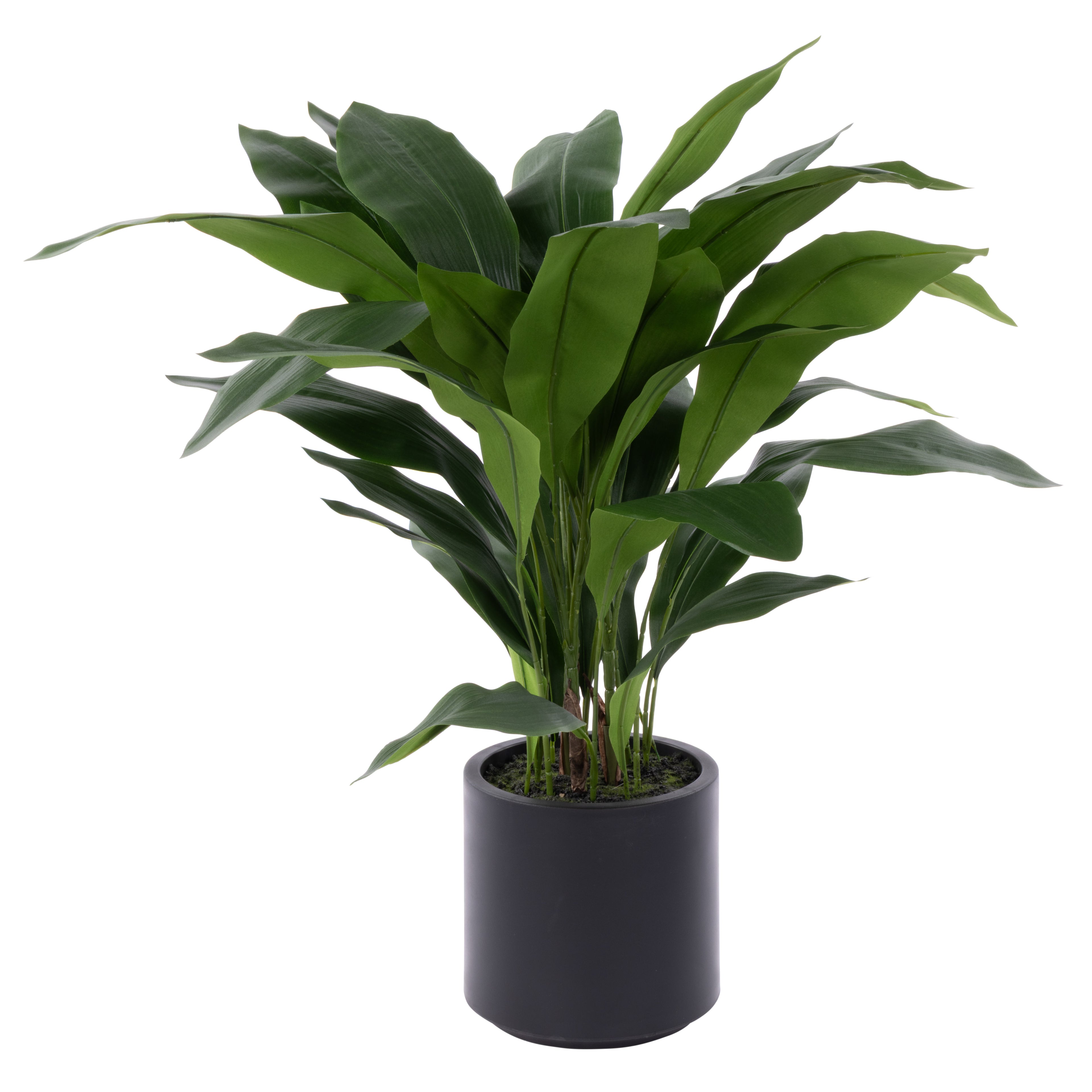 Faux Cast Iron Plant UV Treated  | 90cm