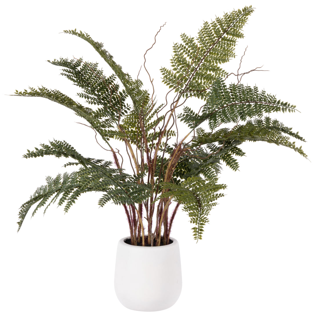 Faux Mountain Wood Fern Pot | White - 56cm