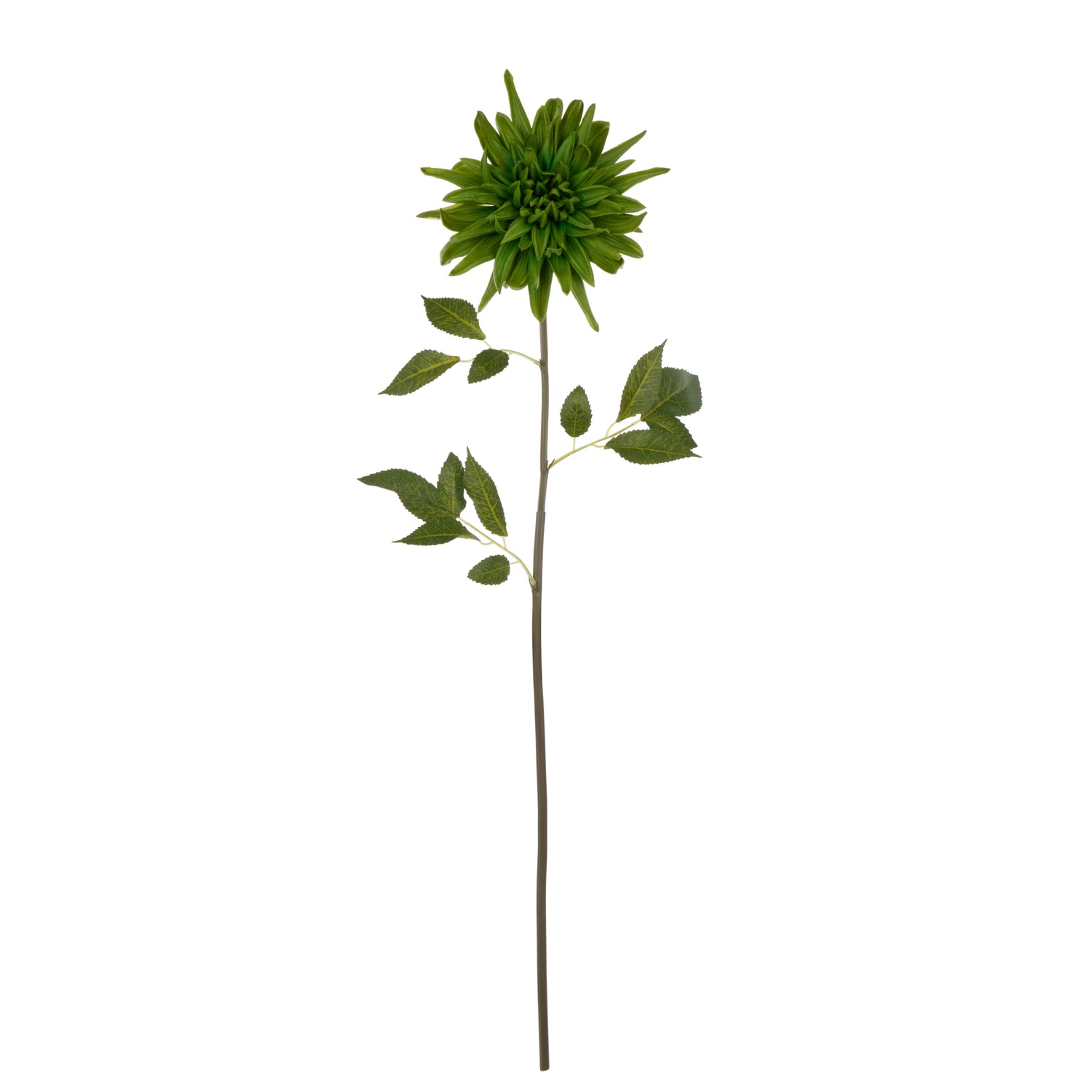 Faux Dahlia Stem | Green - 88cm