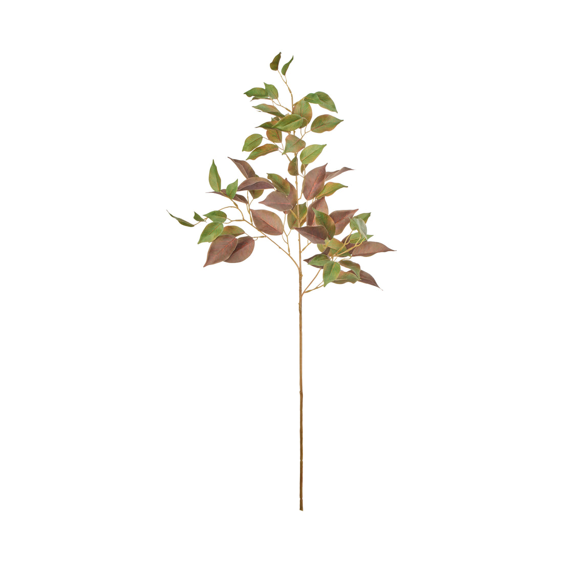 Rogue Ficus Spray Green &amp; Red