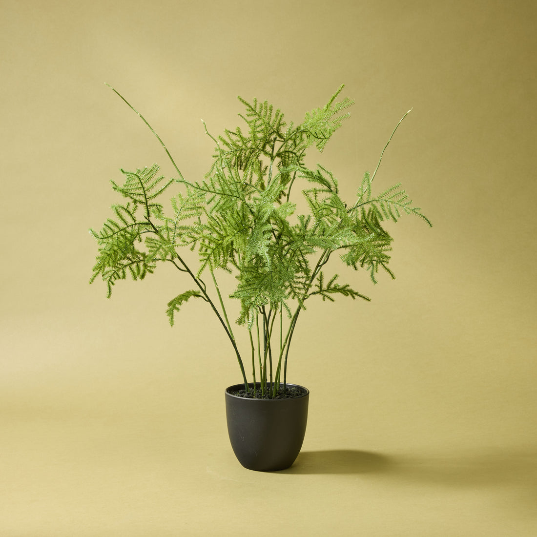 Faux Asparagus Fern Pot | 54cm