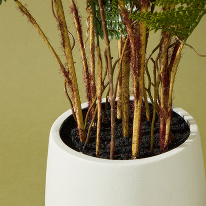 Faux Mountain Wood Fern Pot | White - 56cm