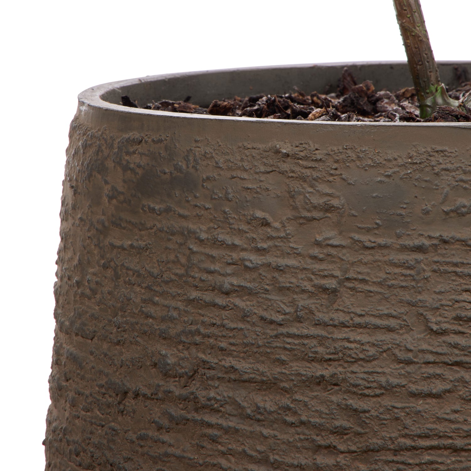 Faux Ficus Tree - Trillium Planter | Green -  184cm