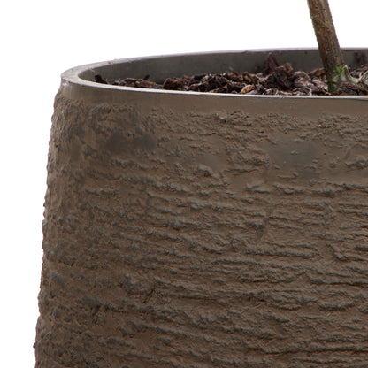 Faux Ficus Tree - Trillium Planter | Green -  184cm