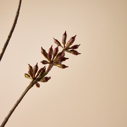 Faux Eucalyptus Seeding Spray | Burgundy - 84cm