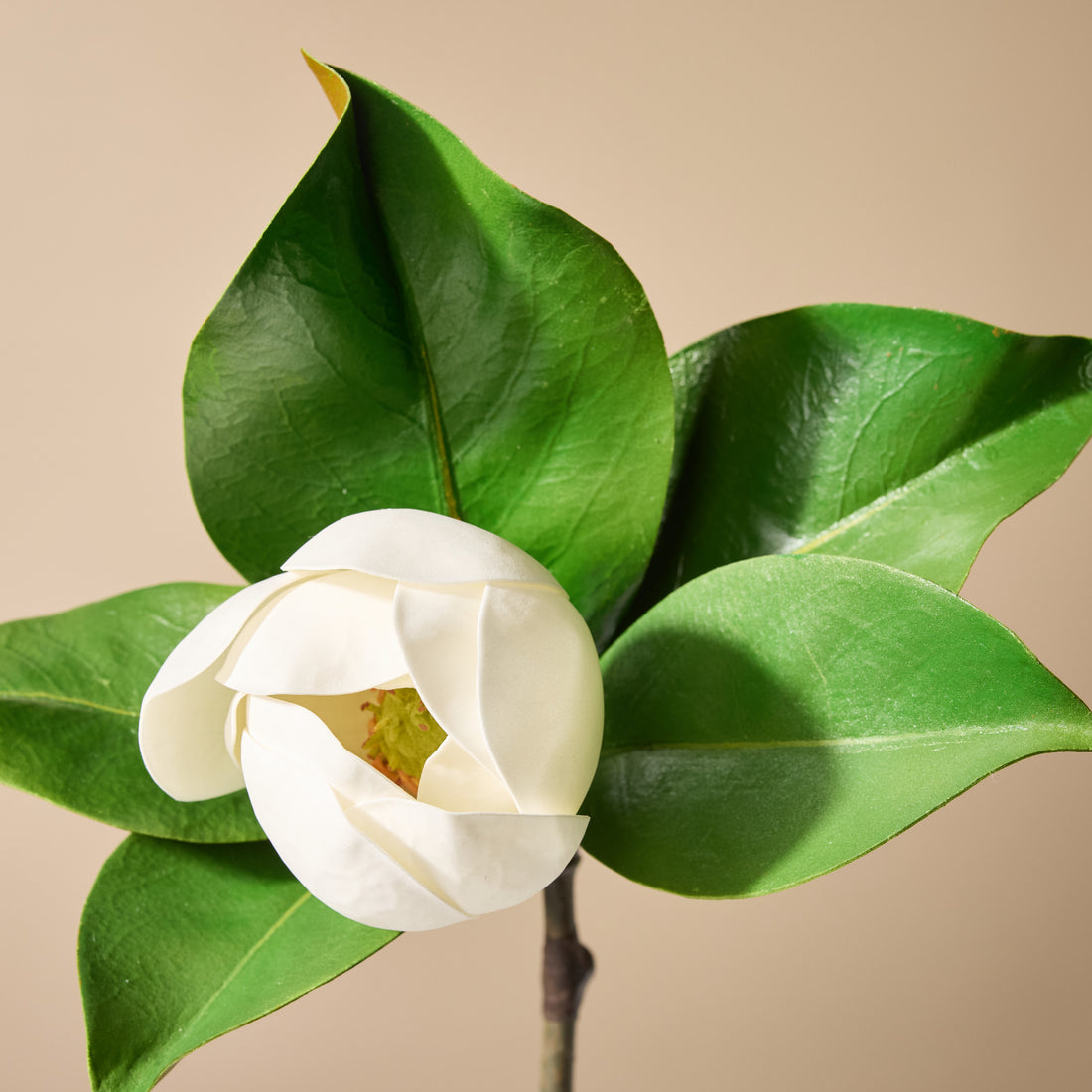 Faux Magnolia Stem | White - 35cm