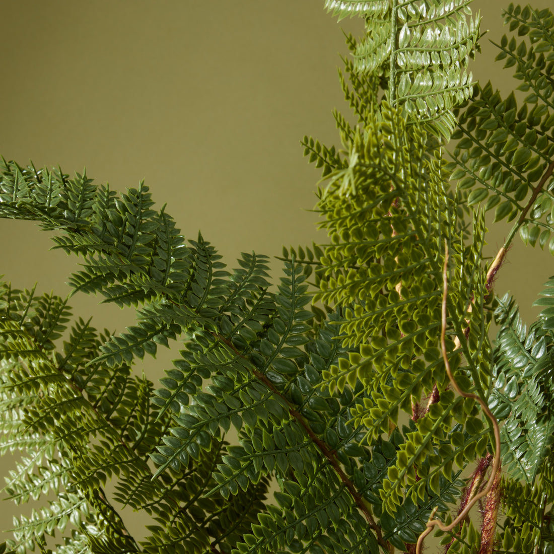 Faux Mountain Wood Fern Pot | White  -  84cm