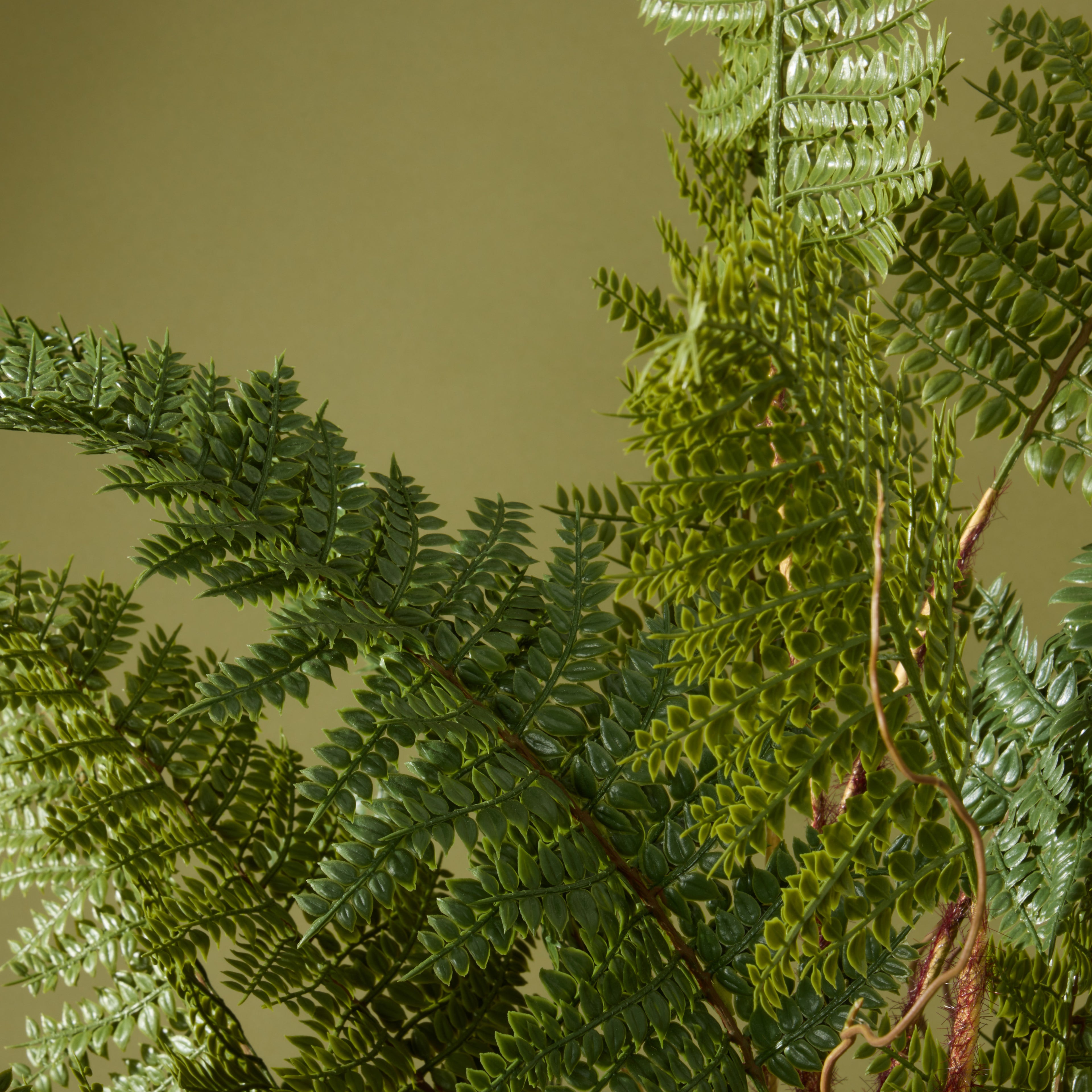Faux Mountain Wood Fern Pot | White  -  84cm