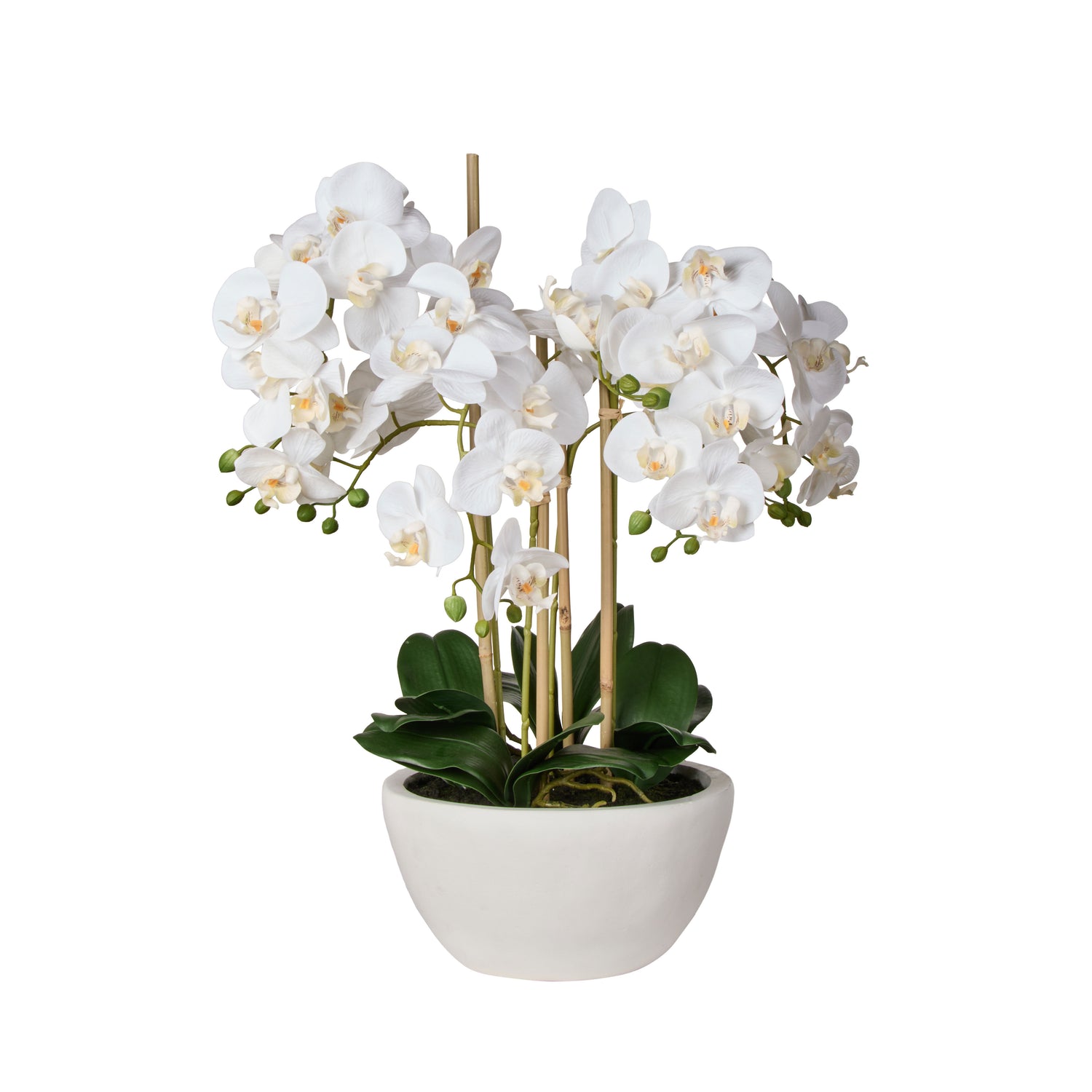 Faux Phalaenopsis Orchid Pot | White -  71cm