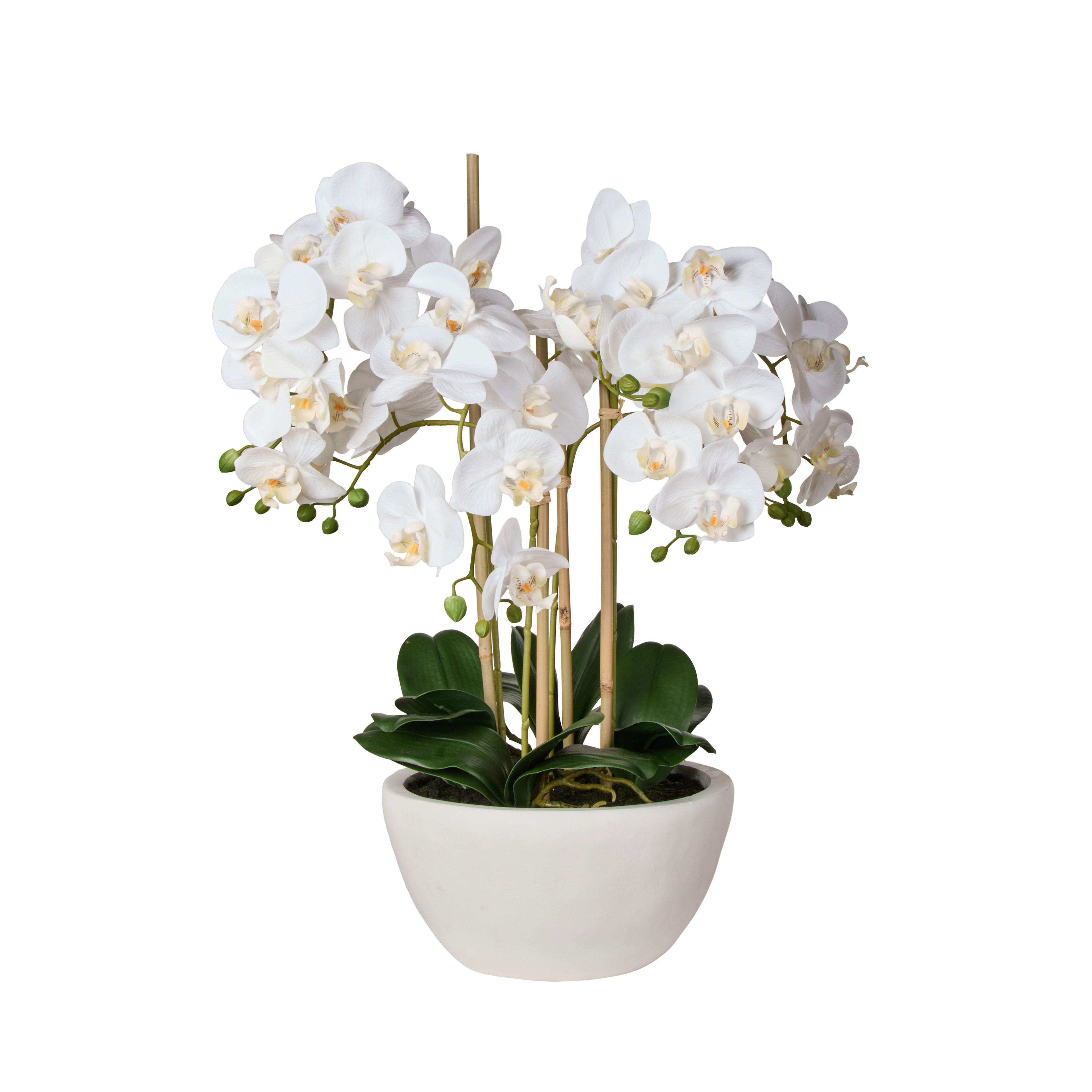 Faux Phalaenopsis Orchid Pot | White -  71cm