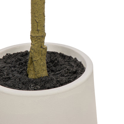 Faux Ficus Tree - White Pot | Green -  120cm