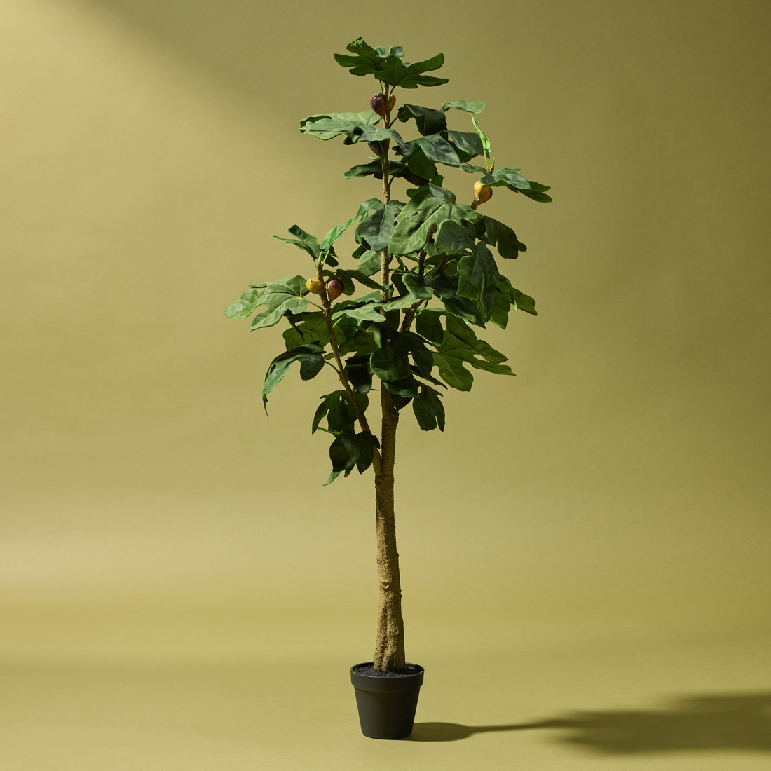 Faux Fig Tree - Garden Pot | 120cm