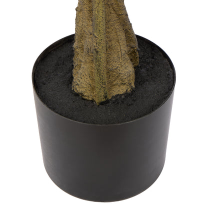 Rogue Maple Tree - Garden Pot Green