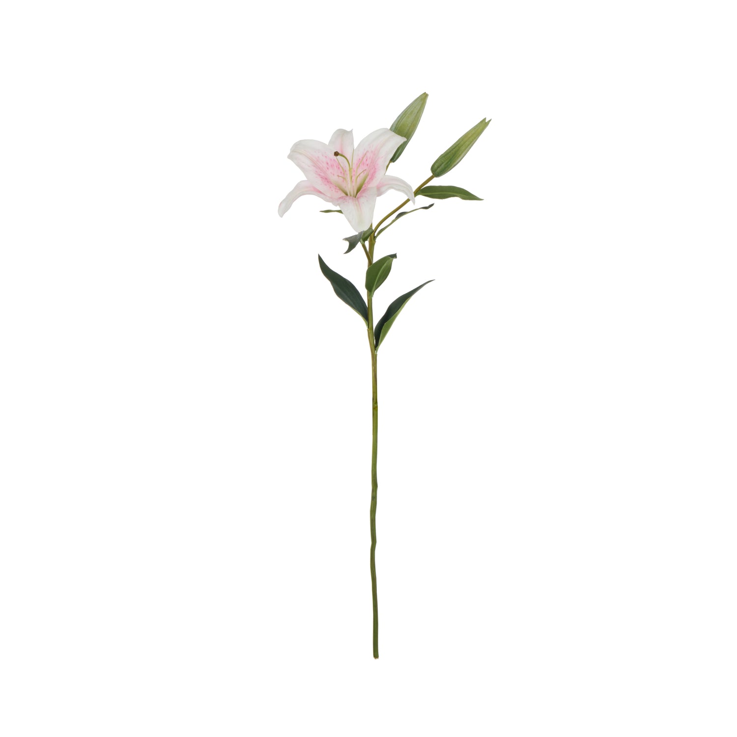 Faux Casablanca Lily | Pink - 80cm